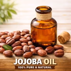 Jojoba oil illustration with an amber bottle and seeds