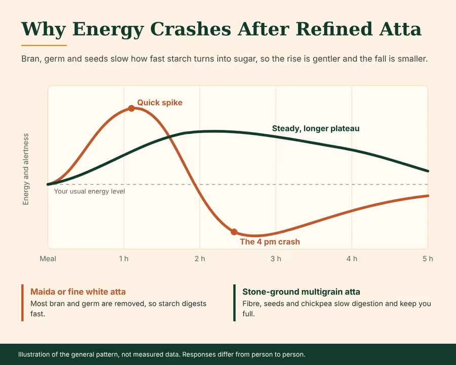 Illustrated curve comparing the quick energy spike and crash after refined atta with the steadier energy after stone-ground multigrain atta